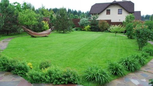 Картинка: Как сосед вырастил идеальный газон