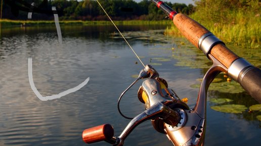 Картинка: 4 актуальных метода Рыбной ловли 