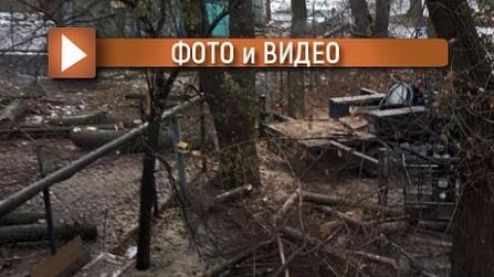 Картинка: Вандализмом и варварством называют горожане спил деревьев на улице Садовой