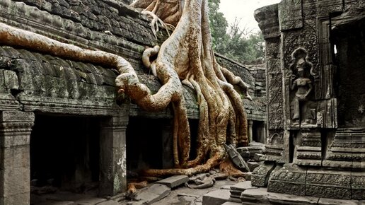 Картинка: Заброшенный храм в Камбодже из фильма «Лара Крофт: расхитительница гробниц»