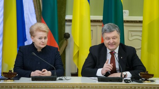 Картинка: «Отдать под контроль ООН»: Литва призвала Европу забрать у России Керченский пролив и «оккупированные» территории Украины.