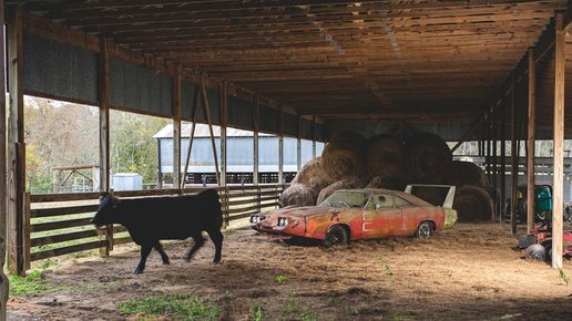 Картинка: 50 лет в сарае провел редкий зверь! 1 из 400 выпущенных автомобилей!