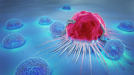 Картинка: Бактерии обратили против стойких раковых опухолей