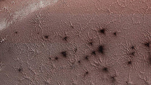 Картинка: NASA показало фотографию «марсианских пауков»