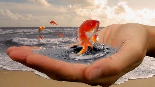 Картинка: Можно ли угадывать желания мужа? 