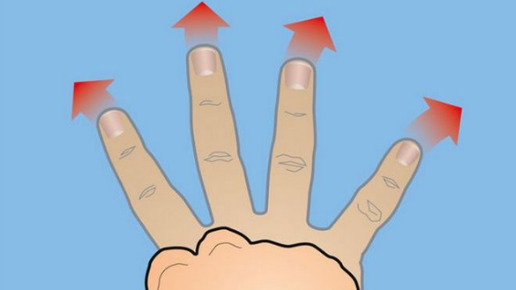 Картинка: Упражнения для рук: кисти и пальцы