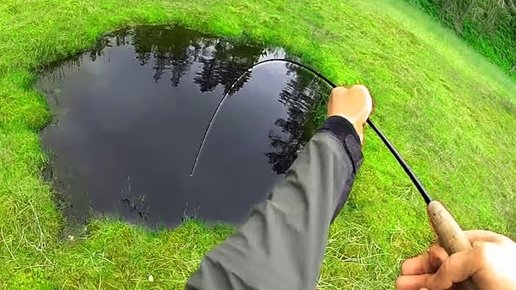 Картинка: Рыбаки не поняли что это за волшебный пруд! Вот это рыбалка! (видео)