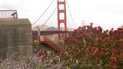 Картинка: Золотой мост в Сан-Франциско – ворота в ад или в рай?