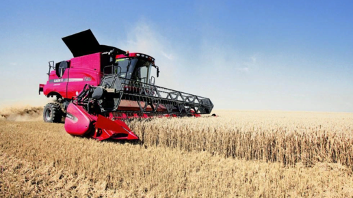 Картинка: Россия возвращает позиции в экспорте зерна на мировые рынки