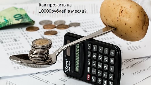 Картинка: Как прожить на 10 000 рублей в месяц?