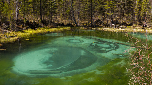 Картинка: Кричащее озеро на Алтае