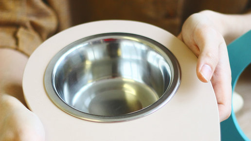 Картинка: Платье носит столяресса