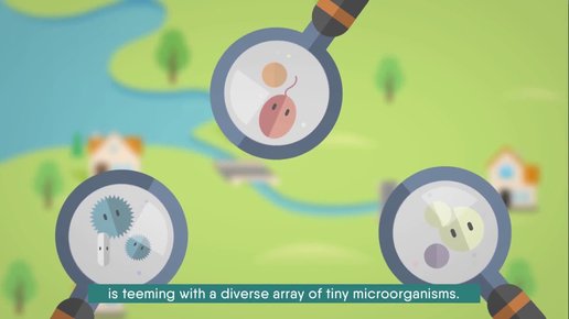 Картинка: Что такое Эффективные Микроорганизмы?