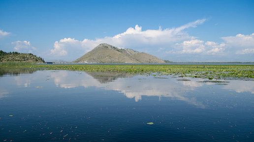 Картинка: Скадарское озеро