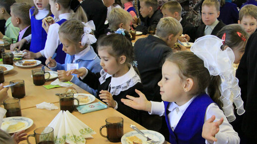 Картинка: Маразм Отчизны: в московской школе ввели в меню пирожки с начинкой из макарон (фото).