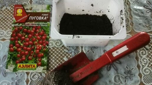 Картинка: Как посадить семена томатов с помощью кипятка. Мой уникальный способ