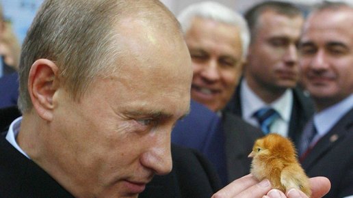 Картинка: Путин хочет узнать, растет ли налог
