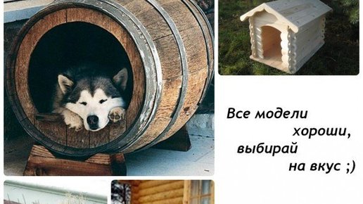 Картинка: Бизнес-идея: Изготовление будок для собак 