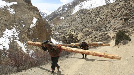 Картинка: $2500 за вершину мира: как непальские деревенские жители зарабатывают свои тысячи долларов