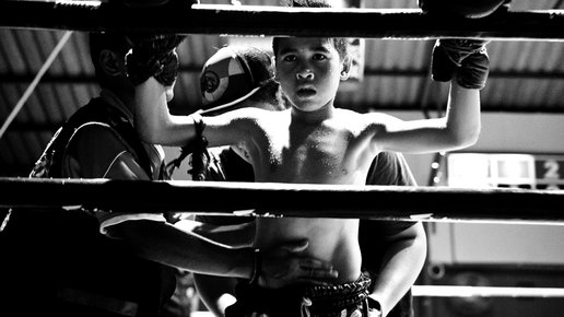 Картинка: Этапы становления боксера