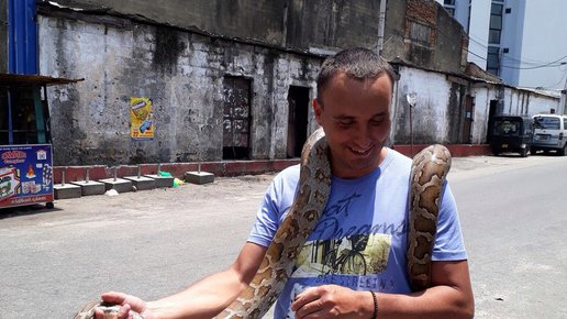 Картинка: Путешествие в Шри Ланку: Коломбо