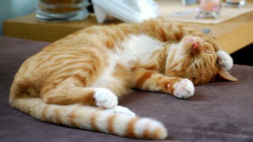 Картинка: Как перестать лениться и начать что-то делать: 7 шагов на пути к цели