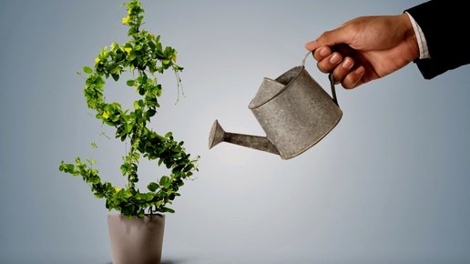 Картинка: Деньги за любимое дело. #2 Опыт