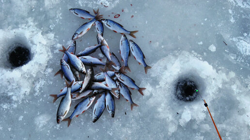 Картинка: Феномен уловистой лунки: активатор для ловли рыбы в зимний период