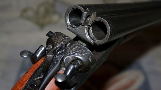 Картинка: Обзор охотничьего ружья ТОЗ-БМ
