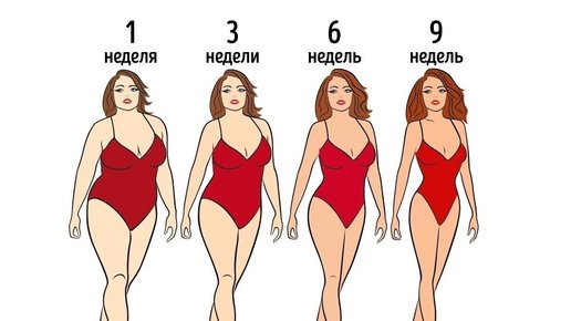 Картинка: 5 правил как похудеть просто!