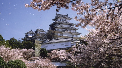 Картинка: Красивые японские замки.
