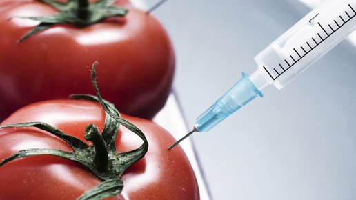 Картинка: ГМО: вред или польза?