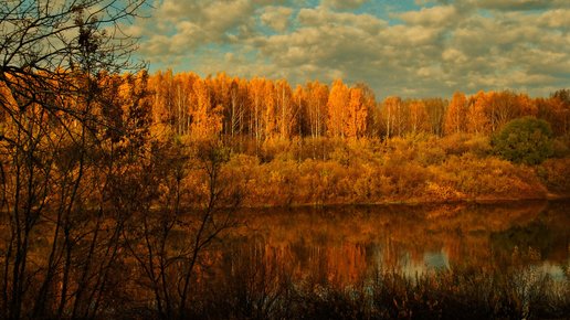Картинка: Осень золотая... 