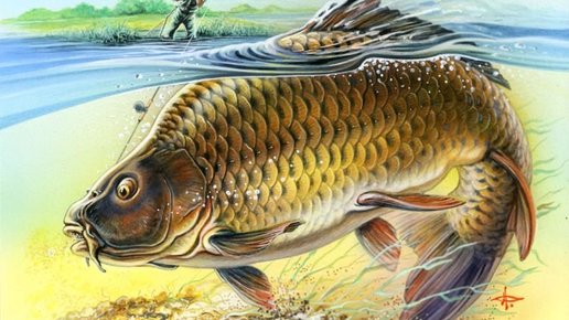 Картинка: Рыбалка: ловля на боковой кивок весной
