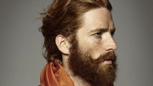 Картинка: Бороды и бородачи