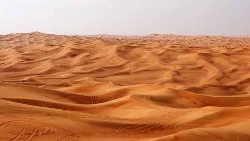 Картинка: юмор))) пустыня