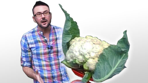 Картинка: Все секреты цветной капусты от посева до урожая. (Видео)