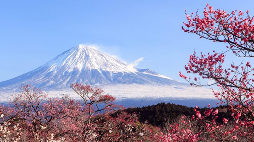 Картинка: Священная гора Фудзи