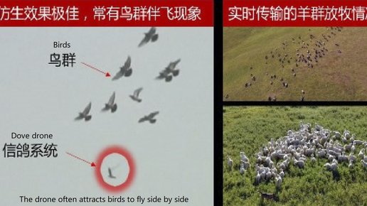 Картинка: Китайские роботы-птицы