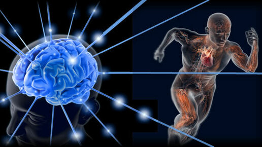 Картинка: Сверхспособности вашего тела