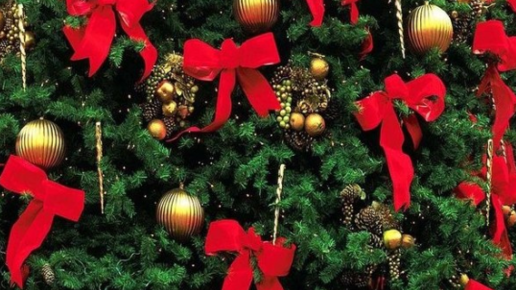 Картинка: Когда нужно украшать елку к Новому году