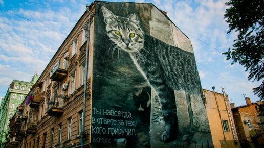 Картинка: Гигантского кота нарисовали в Одессе