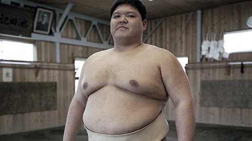 Картинка: Серия фотографий: молодое поколение борцов сумо