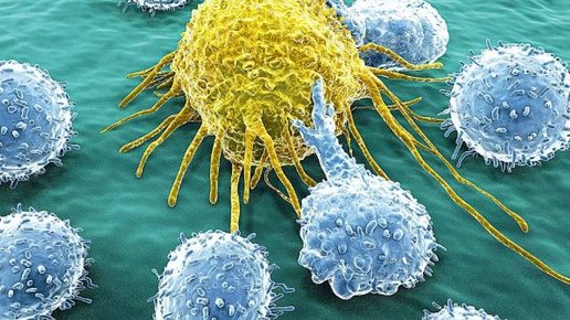 Картинка: Что такое иммунотерапия рака?