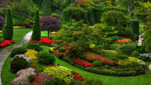 Картинка: Красивый сад: зимой и летом одним цветом!