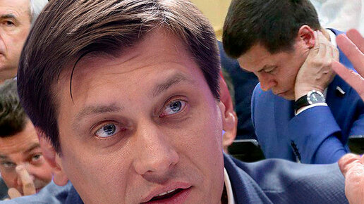 Картинка: Бывший депутат Дмитрий Гудков: депутат Госдумы заслуживает высокую зарплату?