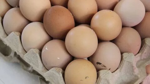 Картинка: Чем полезны куриные яйца,  зависит ли польза от цвета скорлупы. Сколько куриных яиц рекомендуется есть в неделю