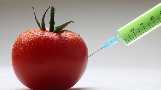 Картинка: Почему не нужно боятся ГМО?