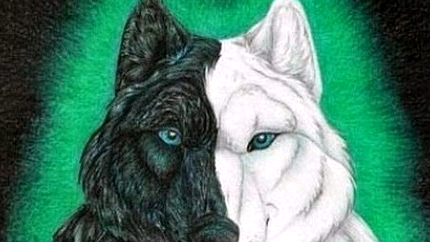 Картинка: Притча про двух волков