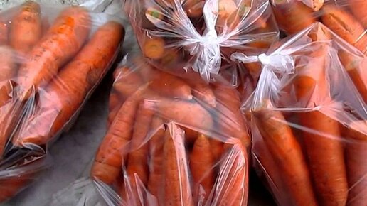 Картинка: Как хранить морковь в полиэтиленовом пакете всю зиму